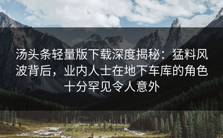 汤头条轻量版下载深度揭秘：猛料风波背后，业内人士在地下车库的角色十分罕见令人意外